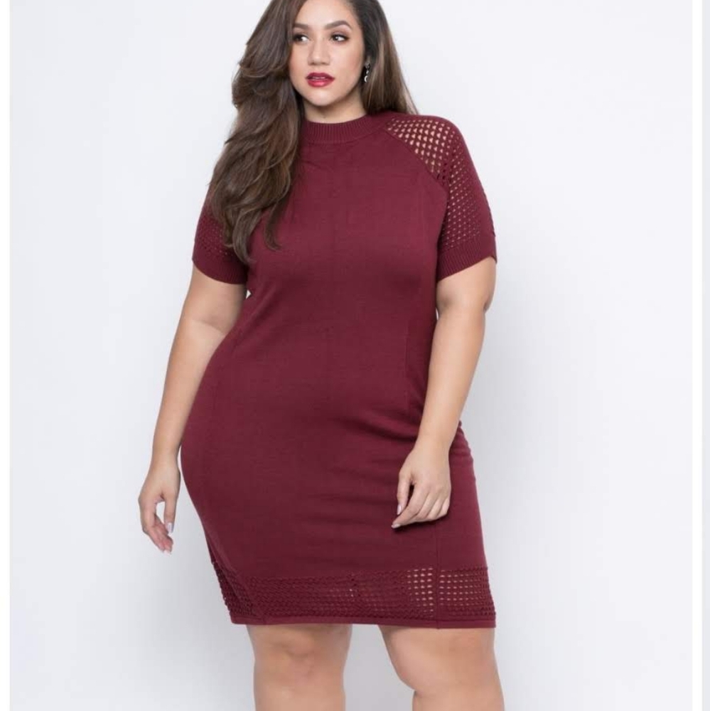 NWT sweater dress